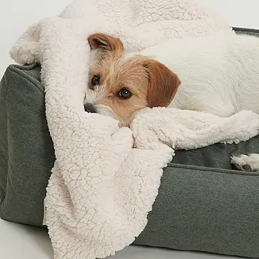 Dog Blankets & Travel Beds