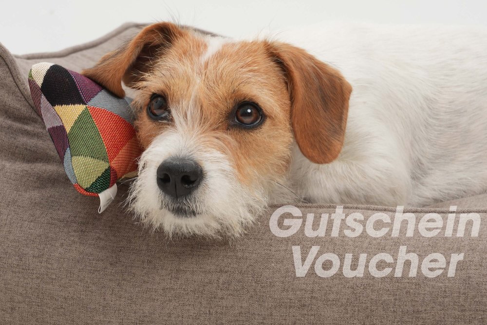 DOGS in the CITY® voucher