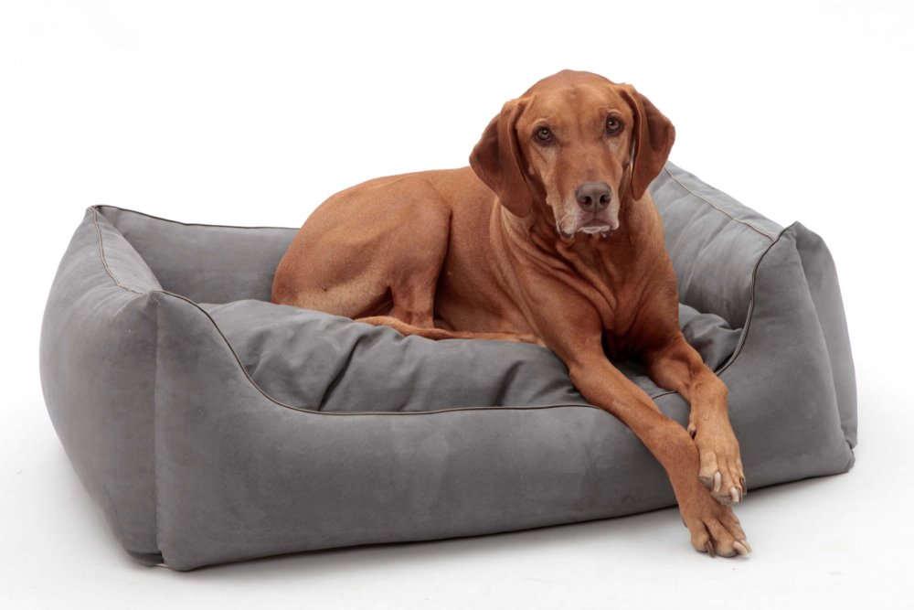 Dog Bed Alcanterra anthracite grey