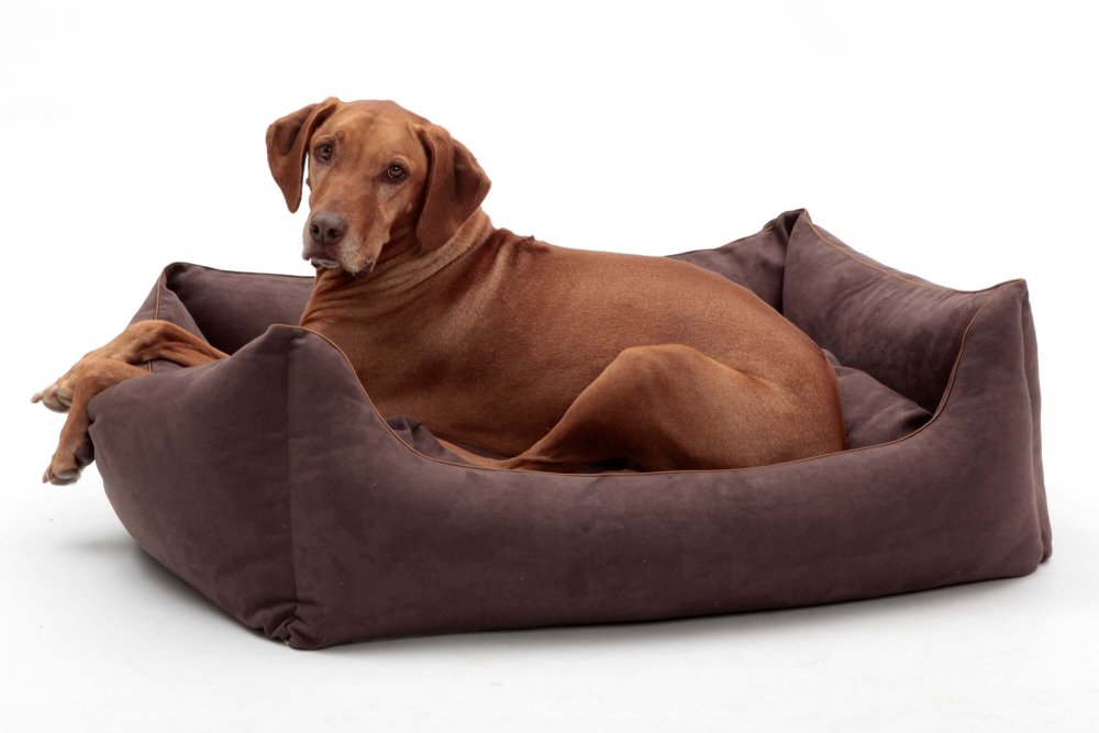 Dog Bed Alcanterra brown