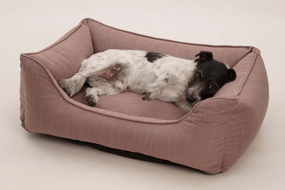 Dog Bed Linus grey blue recycled mauve
