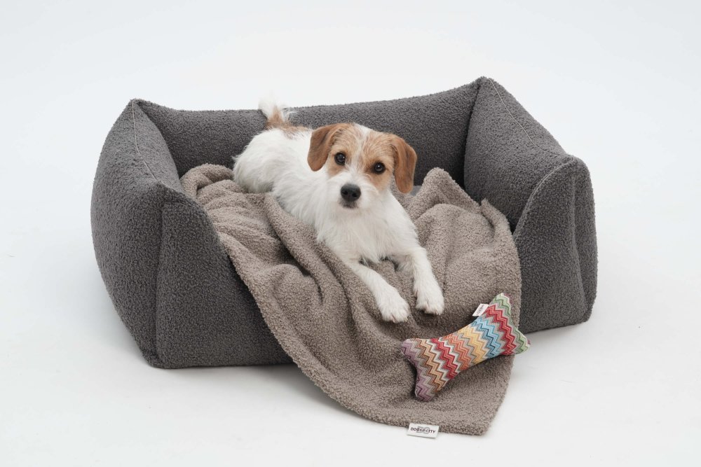 Dog Bed Paddy graphite