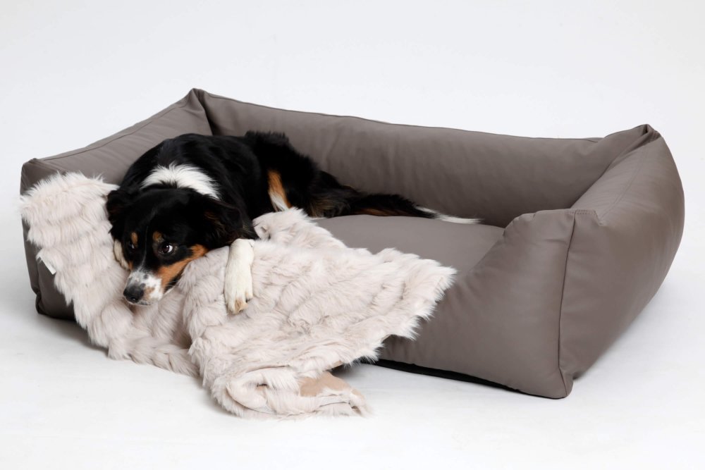 Dog Bed Saddle imitation leather taupe grey
