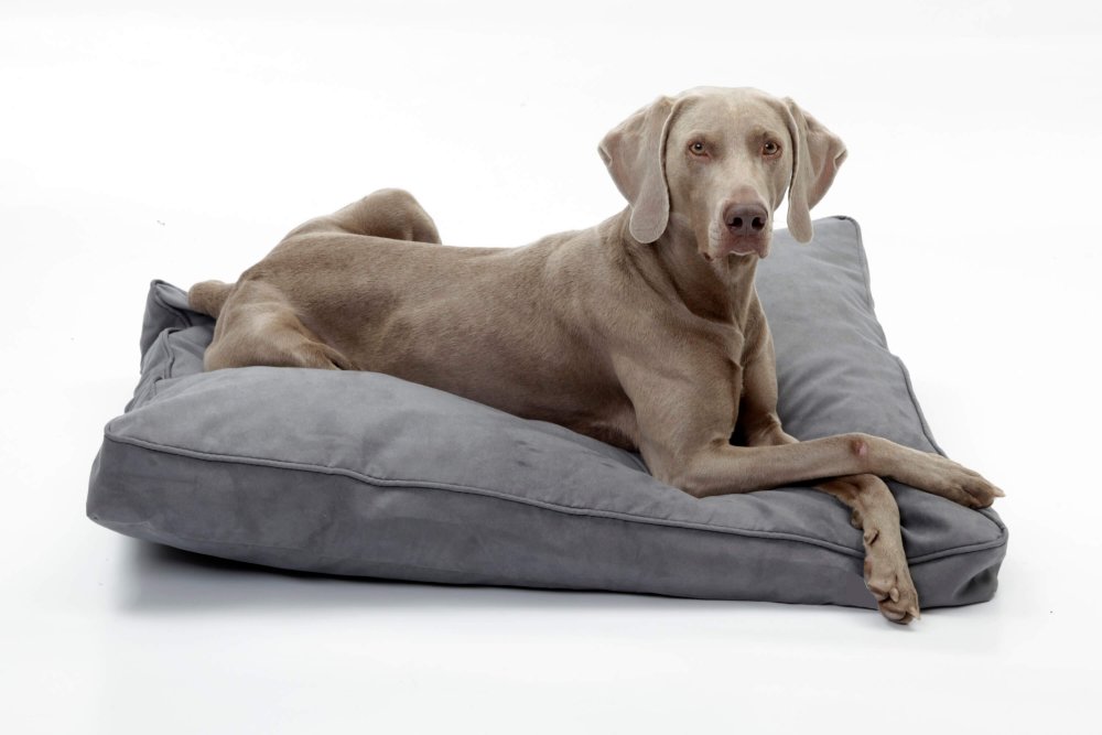 Dog Bed Cushion Alcanterra anthracite