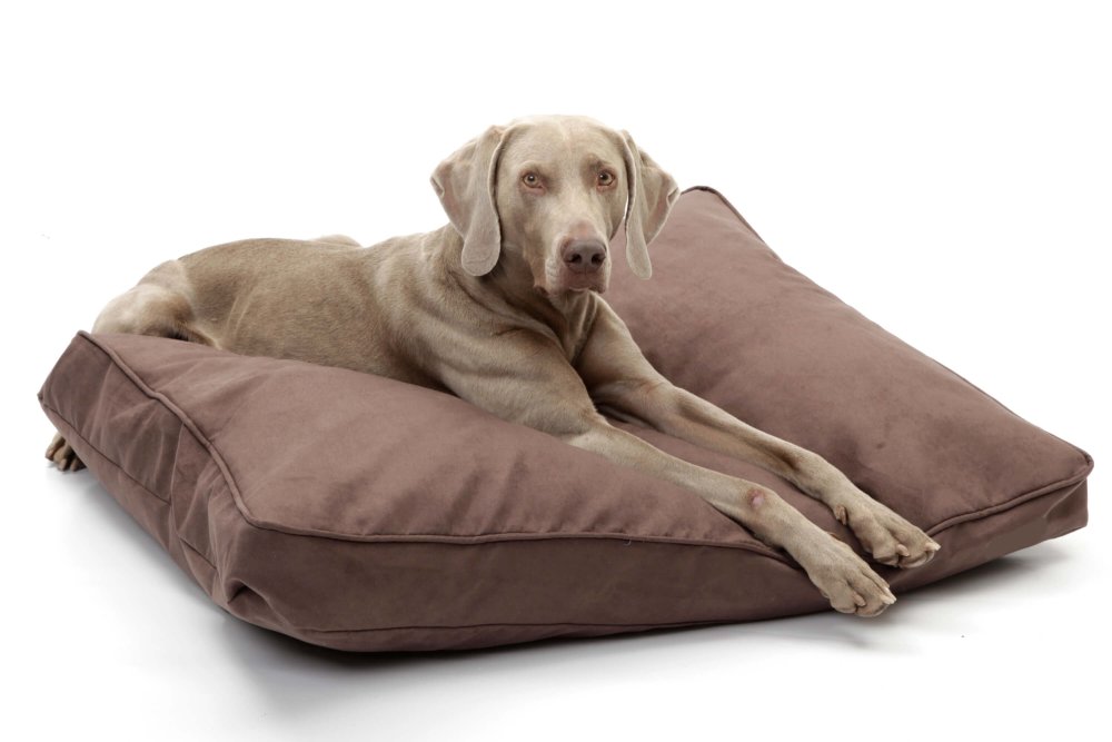 Dog Bed Cushion Alcanterra brown