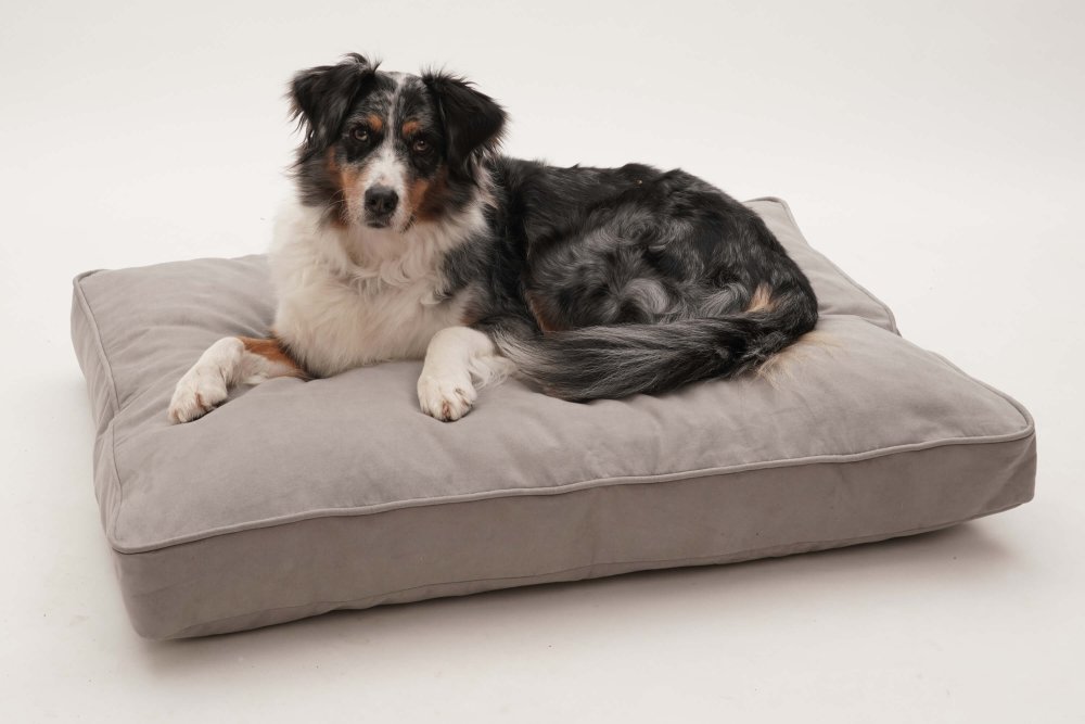 Dog Bed Cushion Alcanterra light grey