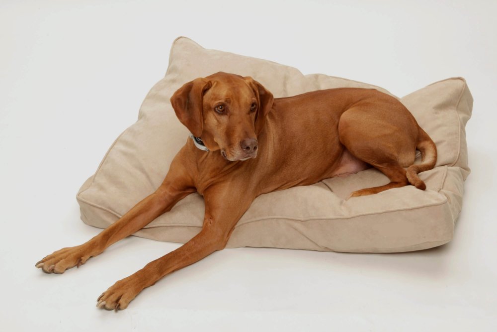 Dog Bed Cushion Alcanterra sand beige
