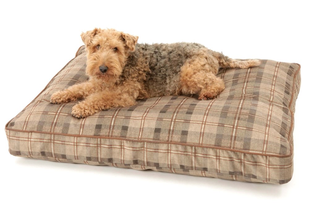 Dog Bed Cushion Chester chestnut brown