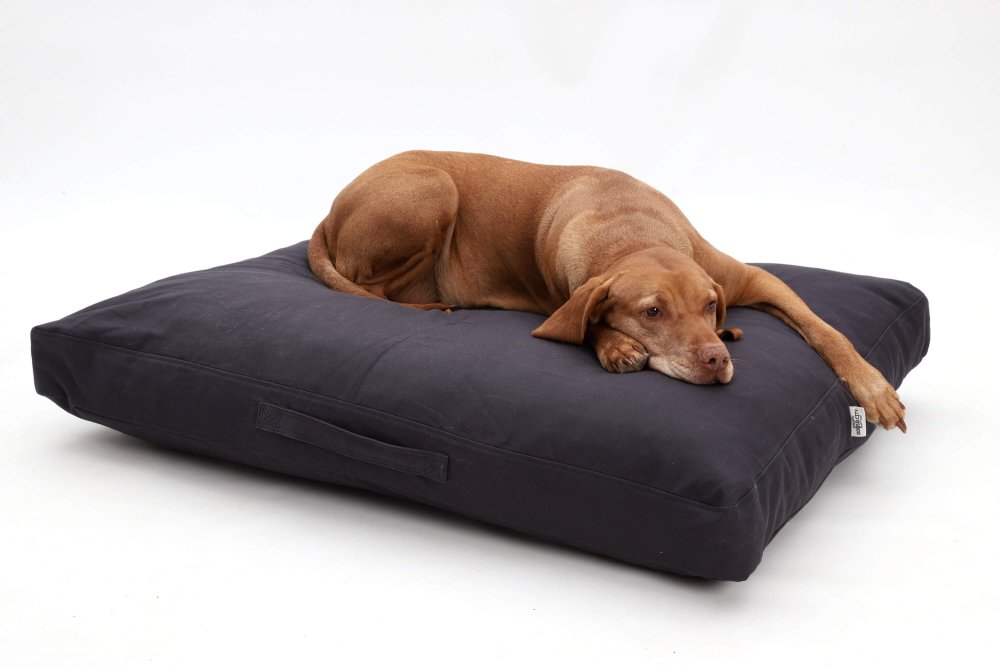 Dog Bed Cushion Hamptons cotton canvas graphite anthracite