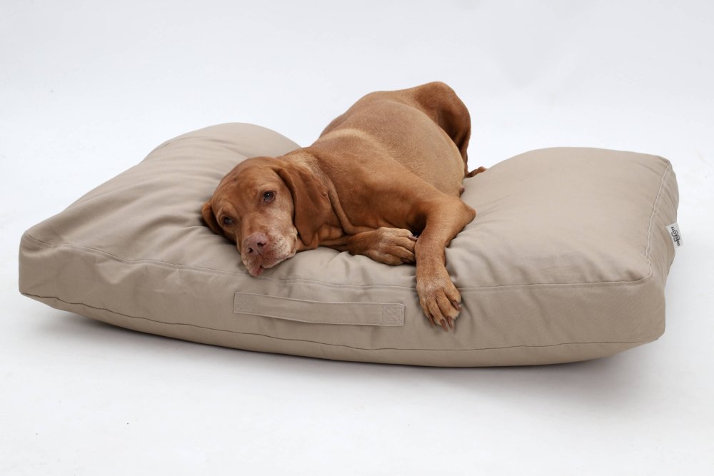 Dog Bed Cushion Hamptons cotton canvas sand beige