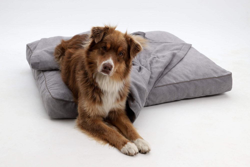 Dog Bed Cushion Monterey grey