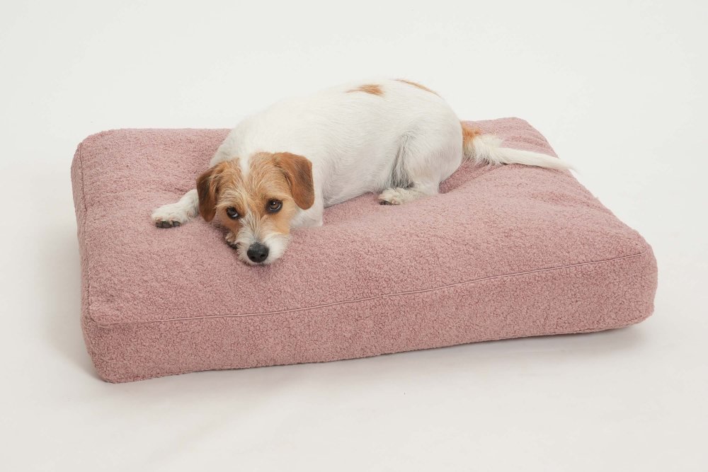Dog Bed Cushion Paddy grace pink