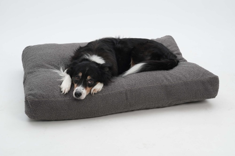 Dog Bed Cushion Paddy graphite