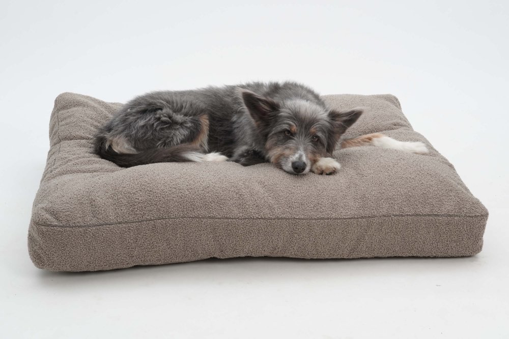 Dog Bed Cushion Paddy stone
