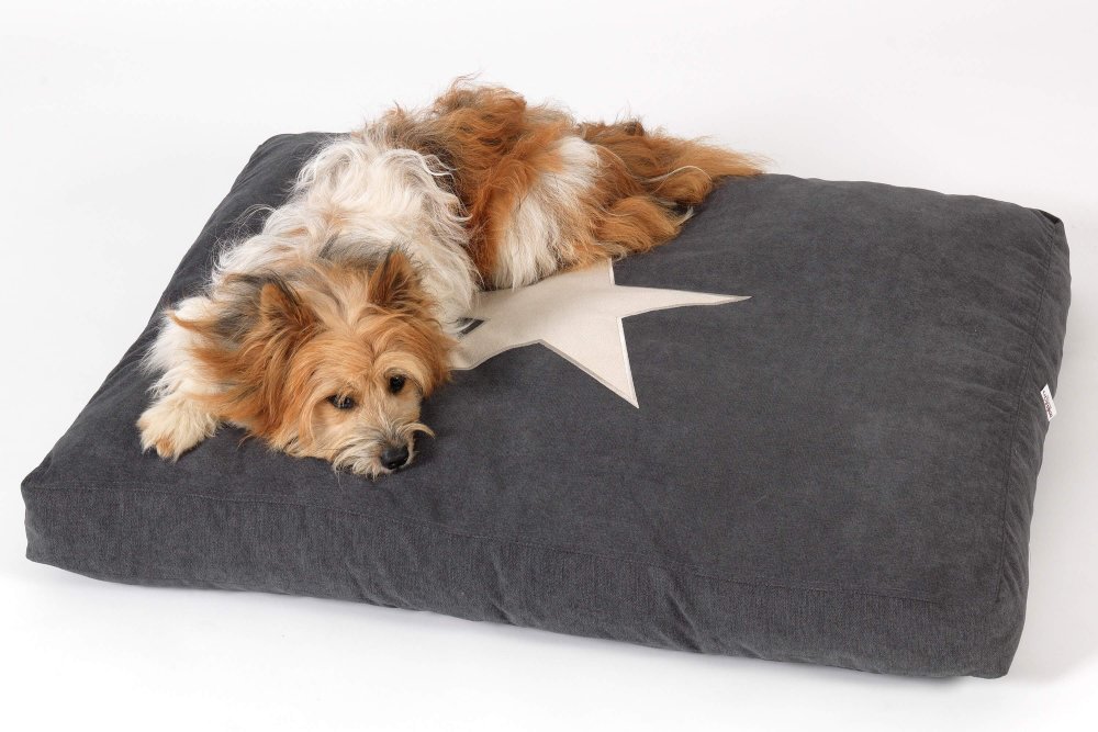 Dog Bed Cushion Star anthracite grey
