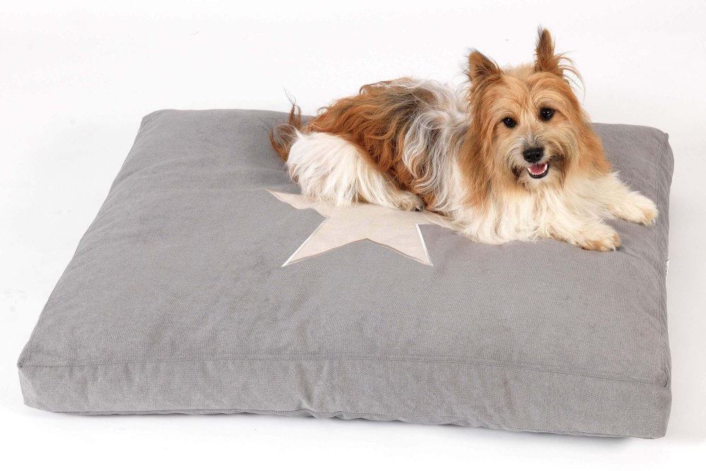 Dog Bed Cushion Star light grey