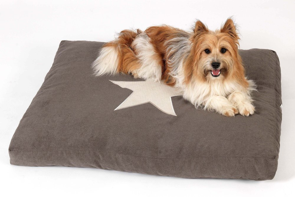 Dog Bed Cushion Star mud brown