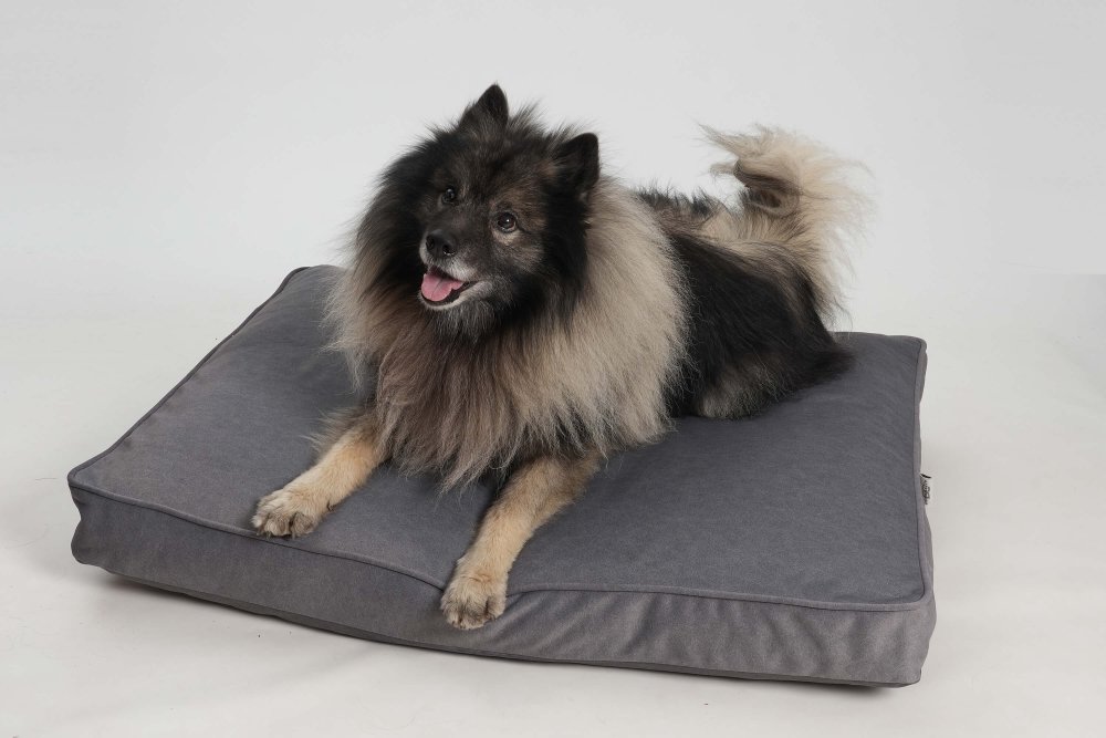 Dog Bed Cushion Velvet anthracite
