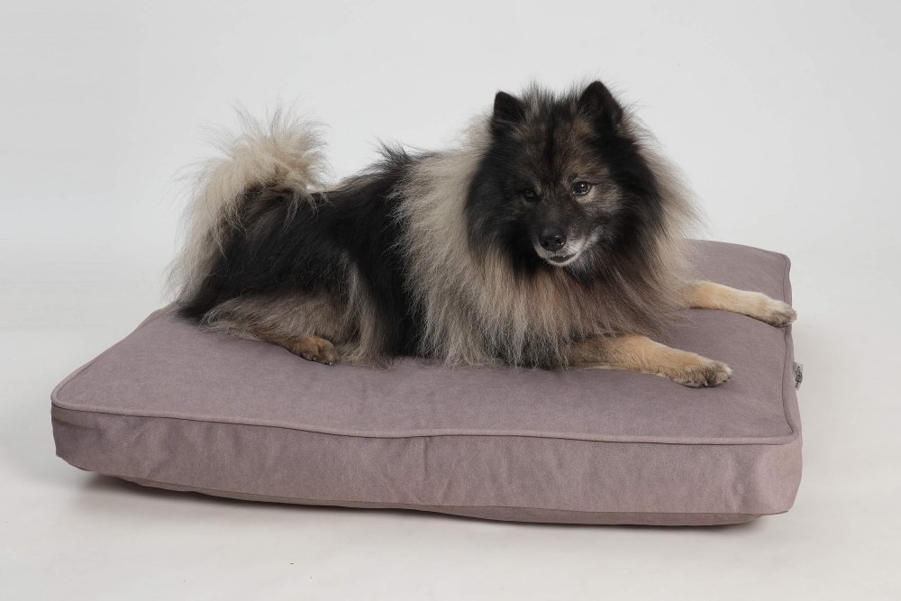 Dog Bed Cushion Velvet mauve