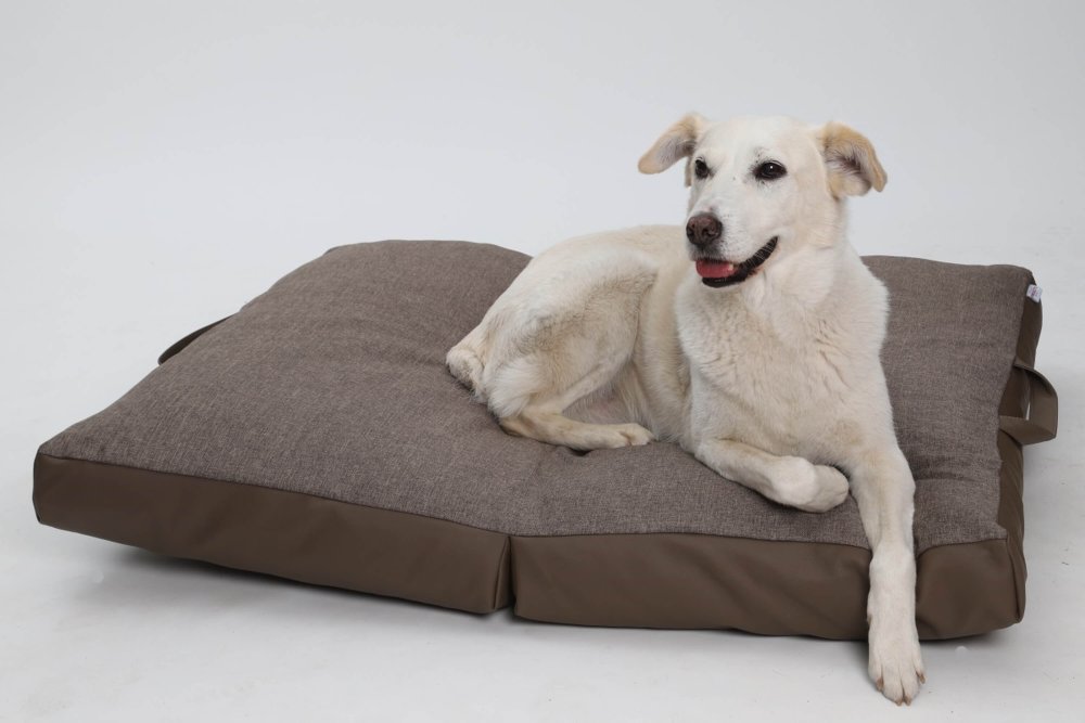 Dog Bed Cushion New York Travel Bed brown