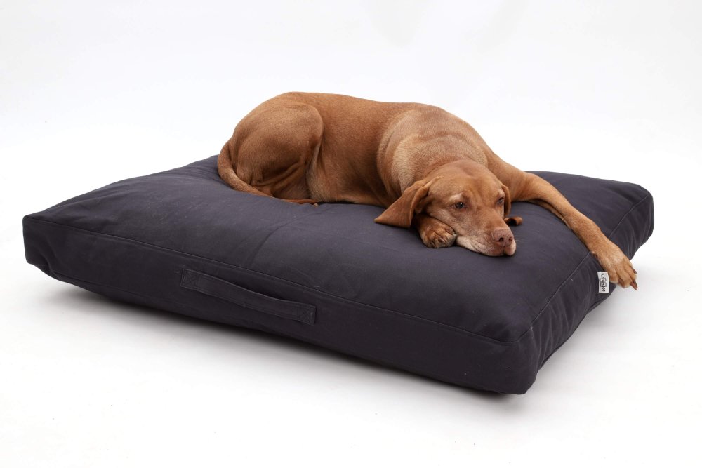 Change Cover Dog Bed  Cushion Hamptons canvas cotton graphite anthracite