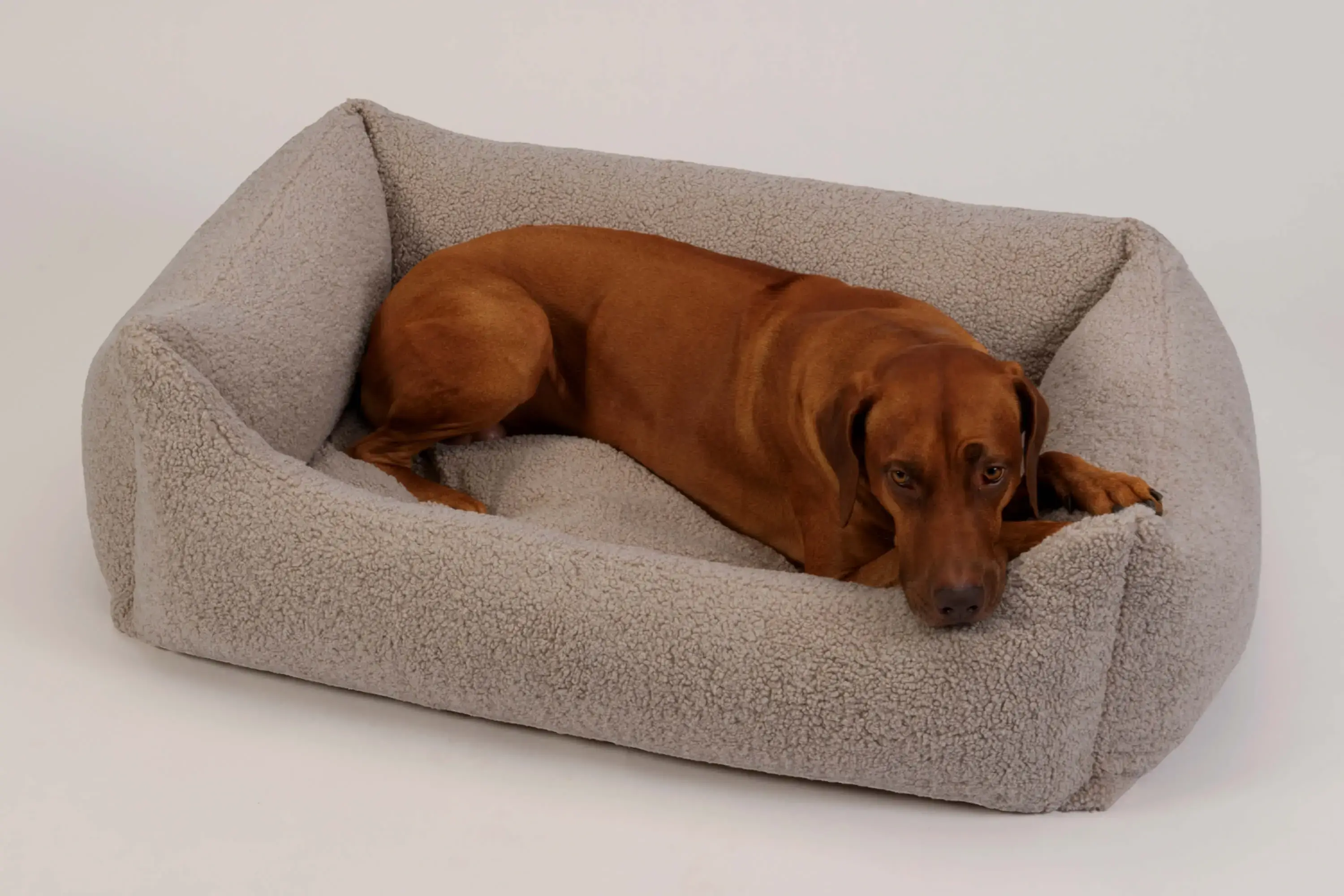seresto halsband nebenwirkungen Seresto Halsband Imidacloprid + Flumethrin 1,25%/0,56% fr kleine Hunde bis  8 kg 36 cm 1 Stck