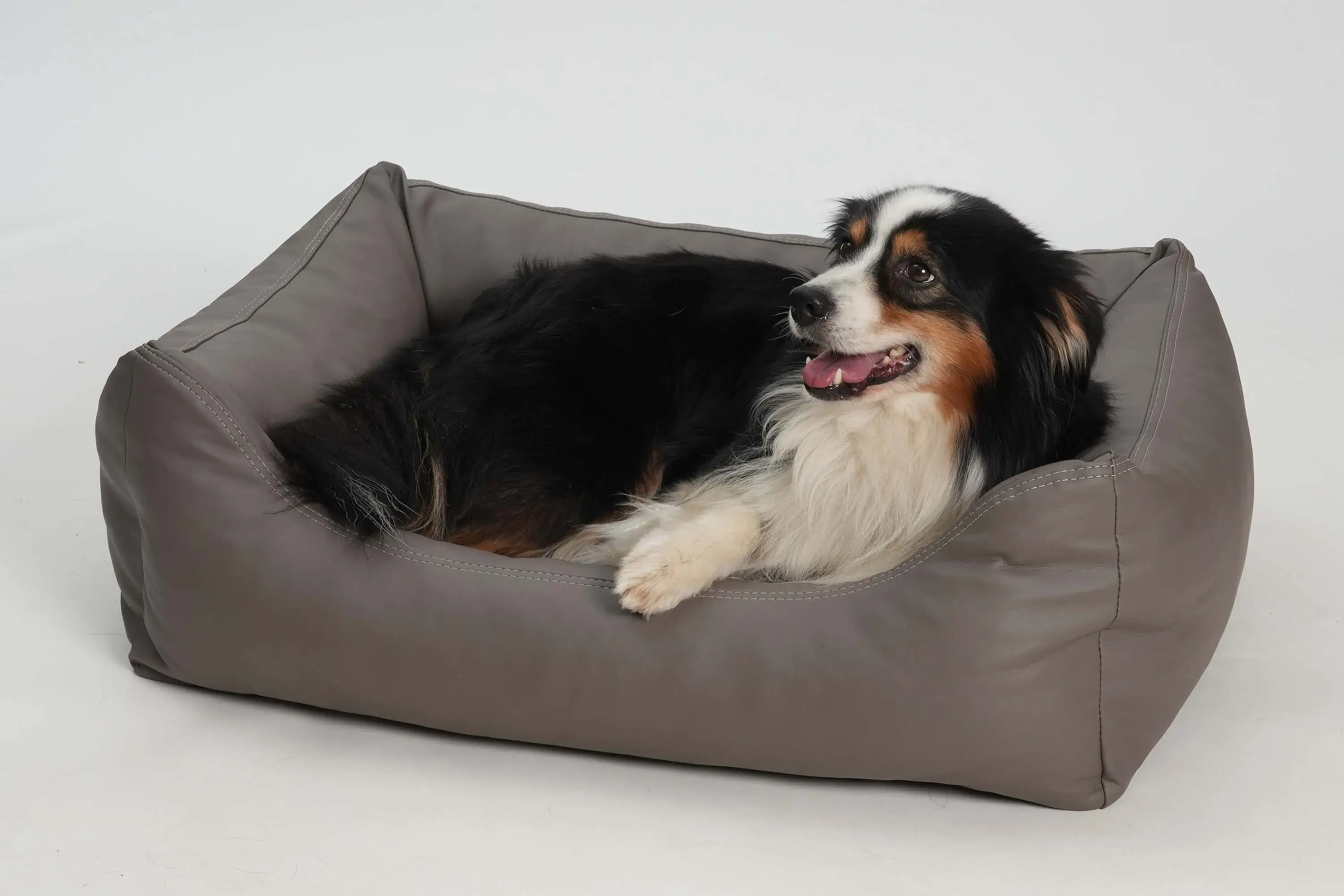Hundebett Box Bett Saddle Kunstleder taupe :: DOGS in the CITY